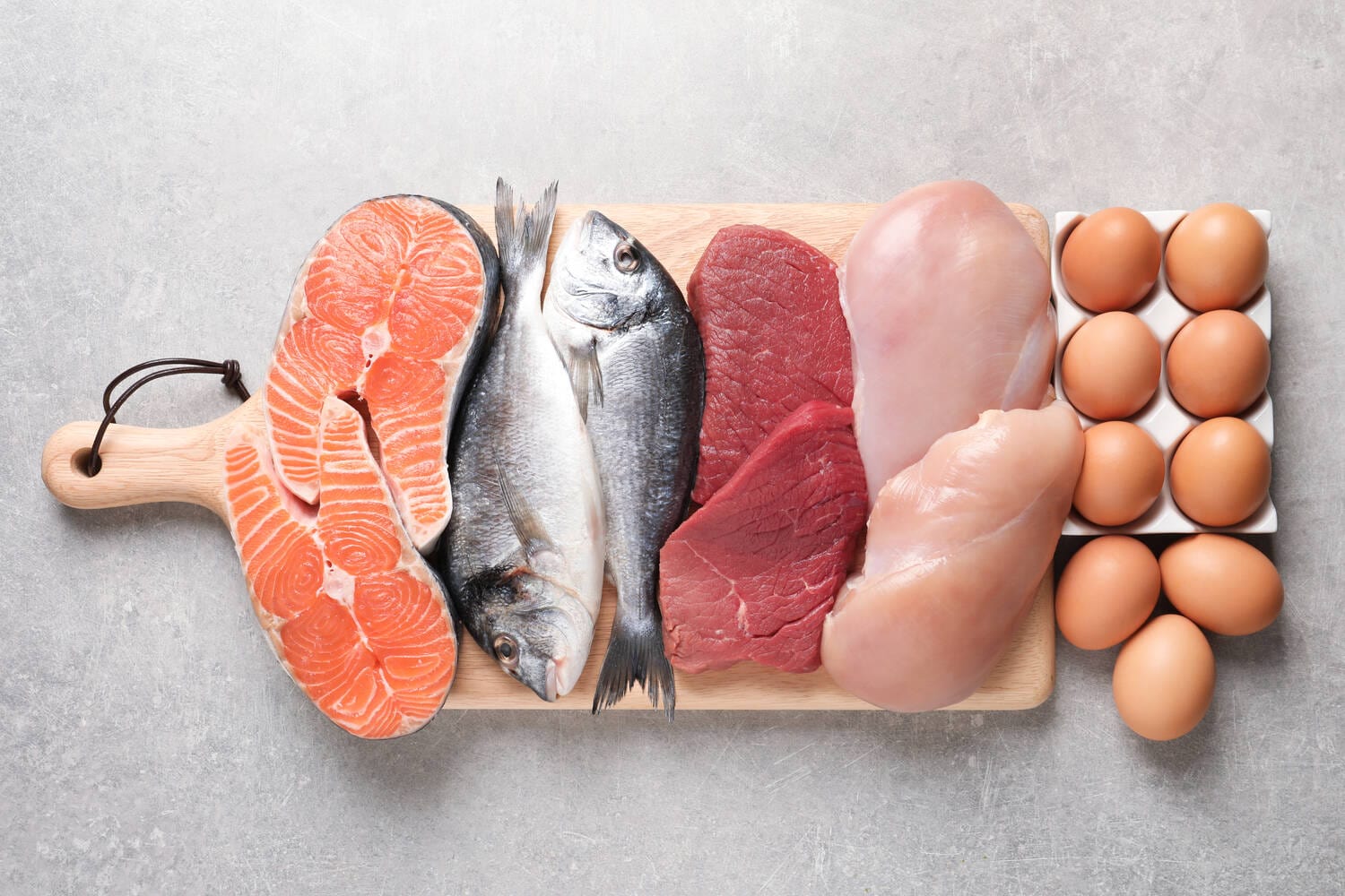 highest protein foods
