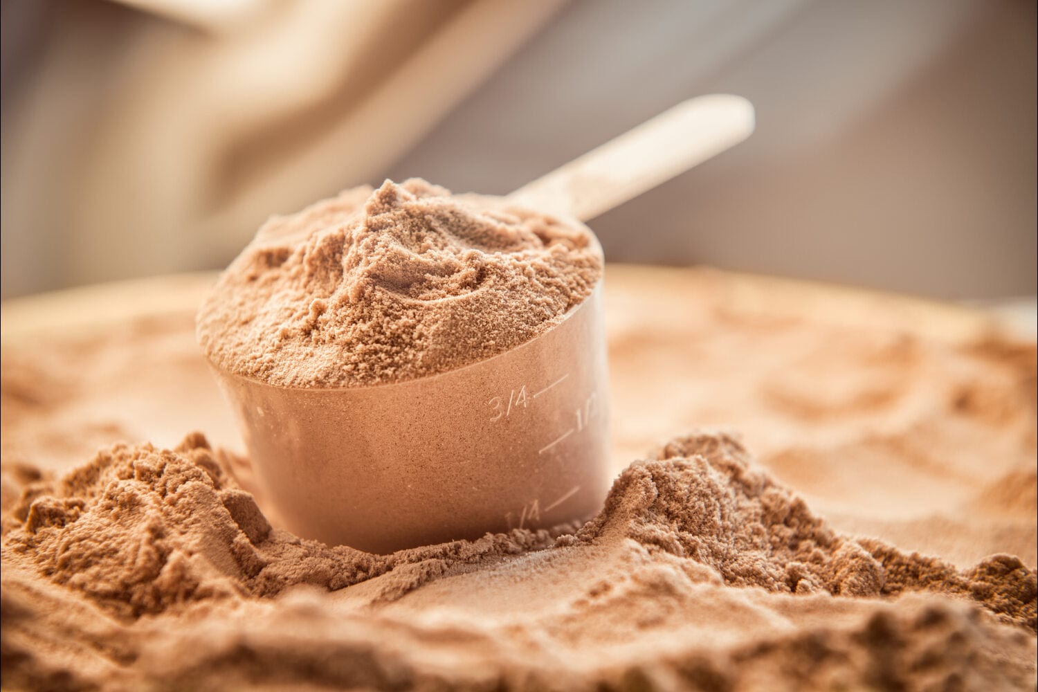 best protein for beginners