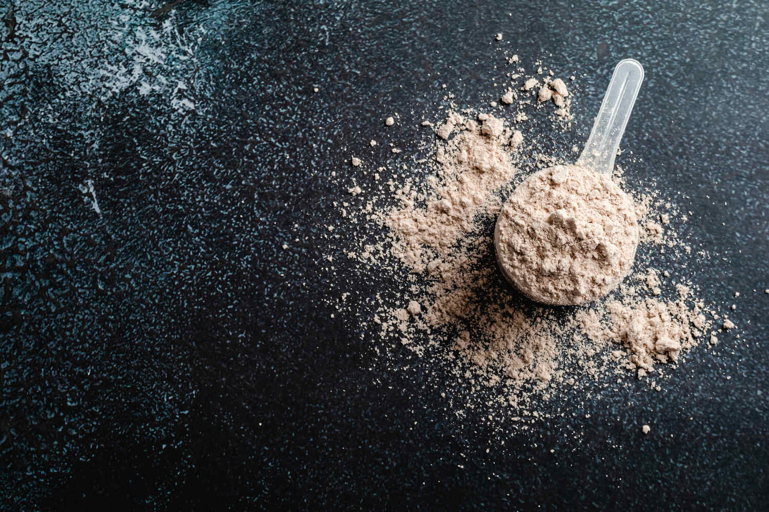 best plant-based protein powder for weight loss female