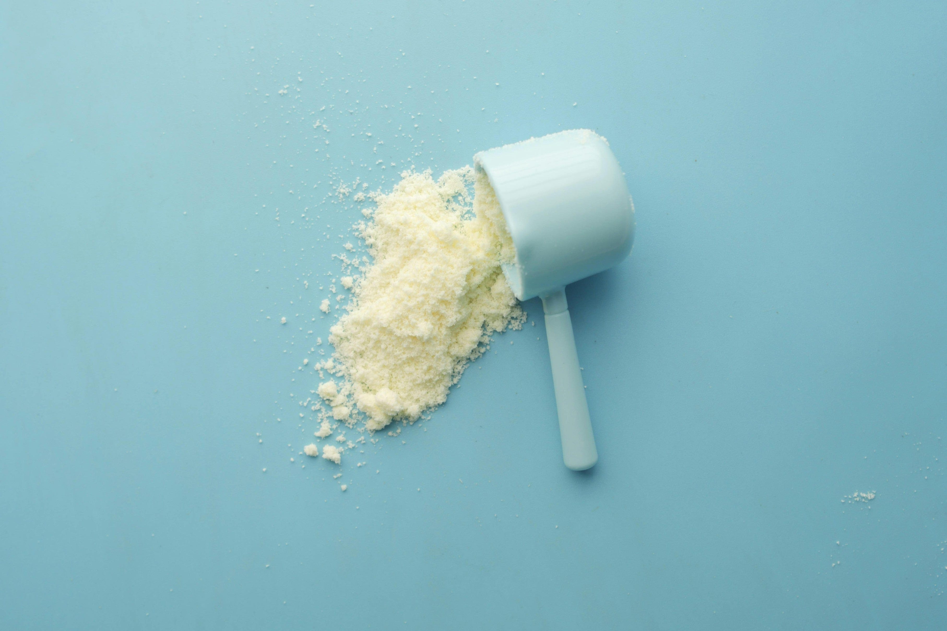 plant based protein powder vs whey
