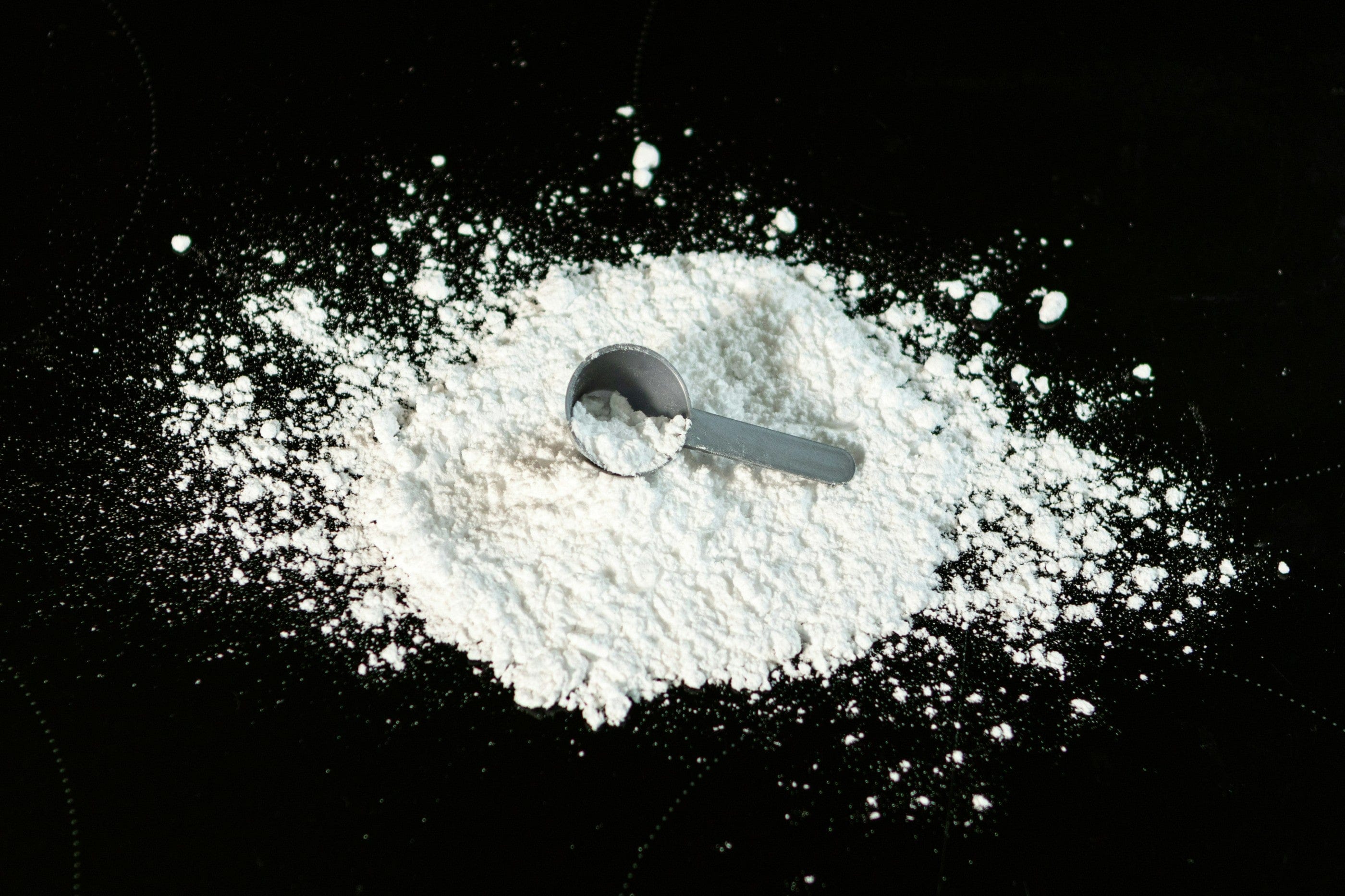 protein powder for weight watchers